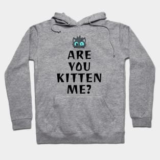 kittyswat X "Are You Kitten Me" Hoodie